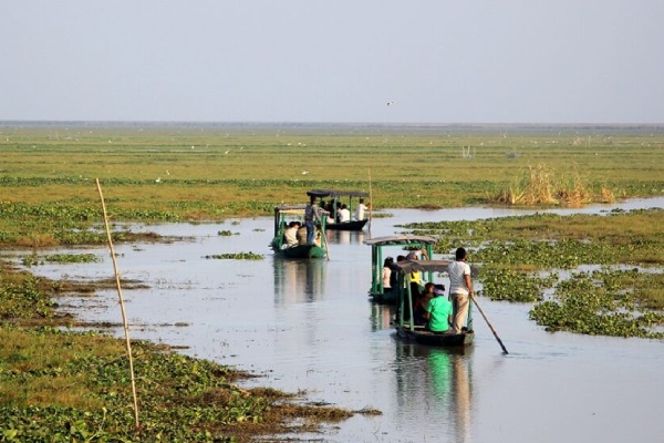 Mangalajodi Bird Sanctuary – The Heaven for Bird Watchers