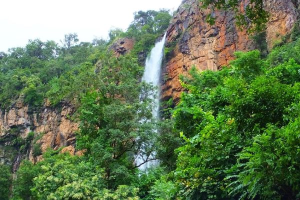 Khandadhar Waterfall, Keonjhar – Where Nature Falls Straight from the Sky